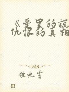 《爱里的谎言,仇恨的真相封面