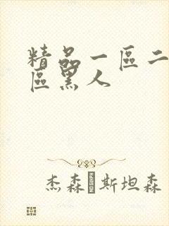 精品一区二区三区黑人