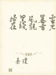 扫黑风暴电视剧在线观看免费完整版下载封面