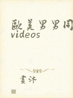 欧美男男同性恋videos