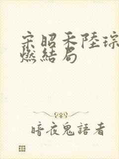 宋昭禾陆琮聿沈燃结局封面