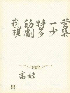 我的特一营 电视剧多少集封面