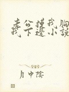 老公摸我胸还摸我下边小说