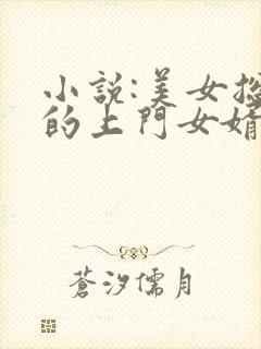 小说:美女总裁的上门女婿