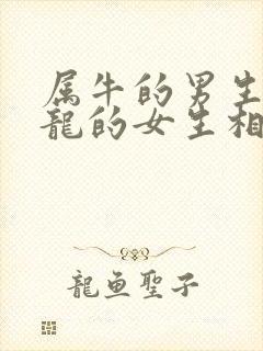 属牛的男生跟属龙的女生相配吗