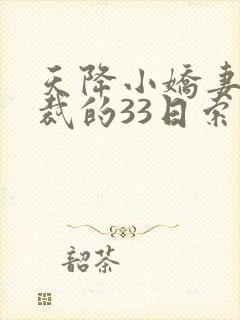 天降小娇妻,总裁的33日索情