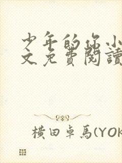 少年的你小说全文免费阅读