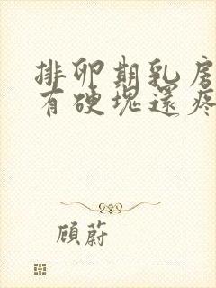 排卵期乳房里面有硬块还疼怎么回事