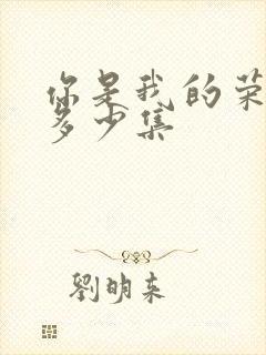 你是我的荣耀有多少集