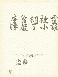 唐舞桐被霍雨浩腰废了小说封面