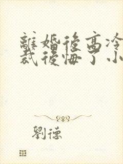 离婚后高冷女总裁后悔了小说笔趣