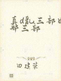 真d乱三部曲是哪三部