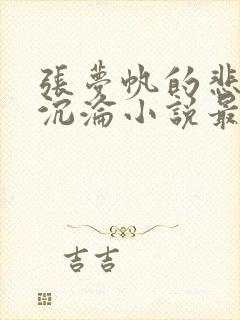 张梦帆的悲哀与沉沦小说最新章节更