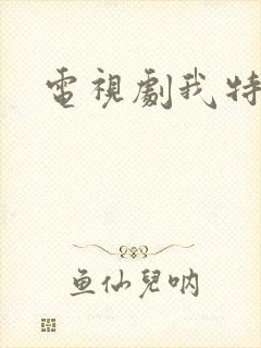 电视剧我特一营