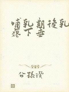 哺乳期后乳房干瘪下垂封面