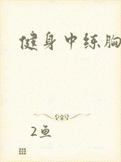 健身中练胸器械封面