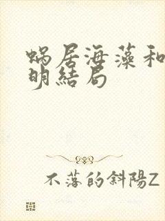 蜗居海藻和宋思明结局封面