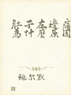 肚子左边痛是因为什么原因