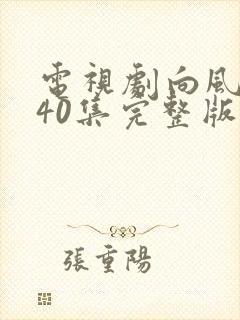 电视剧向风而行40集完整版免费观看