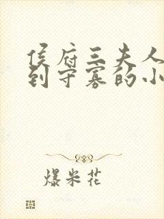 侯府三夫人重生到守寡的小说