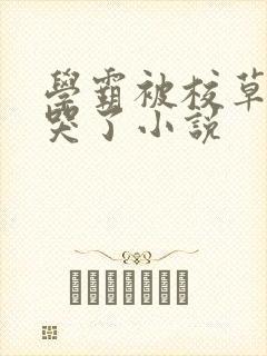 学霸被校草欺负哭了小说