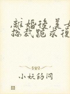 ,离婚后,美女总裁跪求复婚