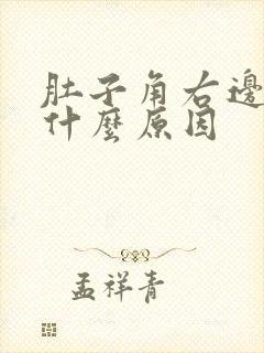 肚子角右边痛是什么原因