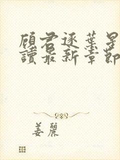 顾君逐叶星北阅读最新章节