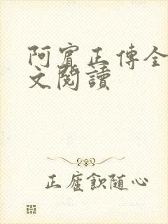 阿宾正传全文原文阅读