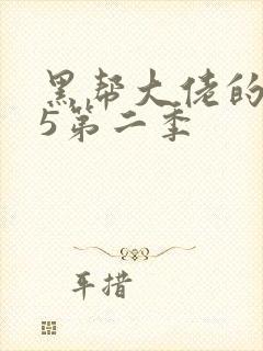 黑帮大佬的365第二季