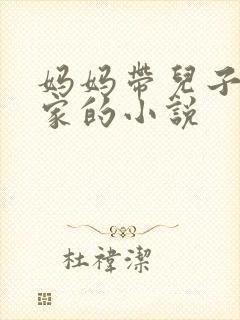 妈妈带儿子回老家的小说