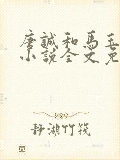 唐诚和马玉婷的小说全文免费封面