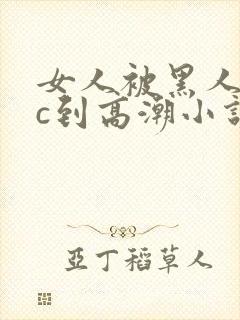 女人被黑人狂躁c到高潮小说