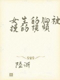 女生的胸被男生摸的视频