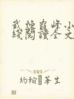 武炼巅峰小说在线阅读全文免费封面