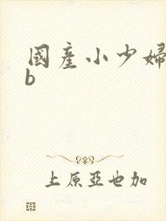 国产小少妇操bb