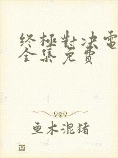 终极对决电视剧全集免费