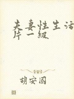 夫妻性生活黄色片一级封面