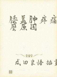 膝盖肿疼痛是什么原因封面