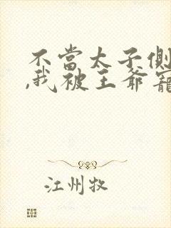 不当太子侧妃后,我被王爷宠成宝演员表