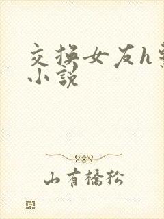 交换女友h系列小说
