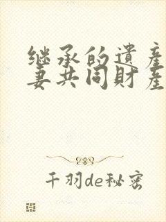 继承的遗产是夫妻共同财产封面