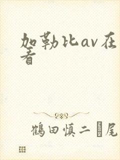 加勒比av在线看