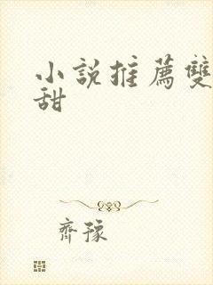 小说推荐双男主甜