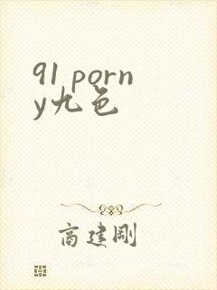 91 porny九色封面