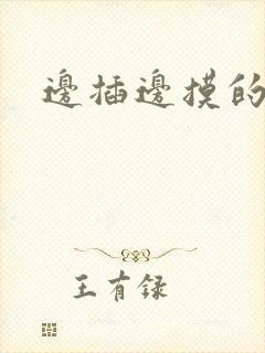 边插边摸的视频