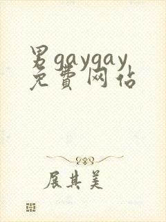男gaygay免费网站