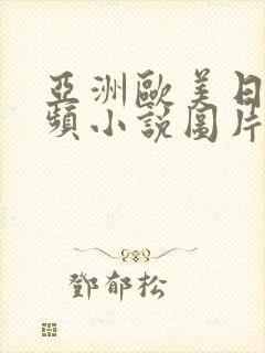 亚洲欧美日韩视频小说图片