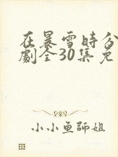 在暴雪时分电视剧全30集免费观看