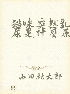 猫咪突然乱拉乱尿是什么原因引起的